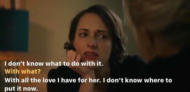 Best 40 Fleabag Quotes -Tv Series - NSF News and Magazine