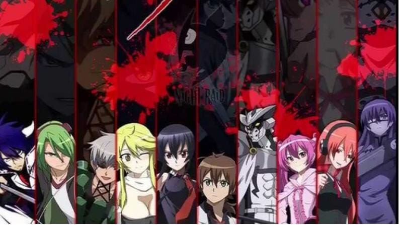 25 Memorable Akame ga Kill Quotes - NSF News and Magazine